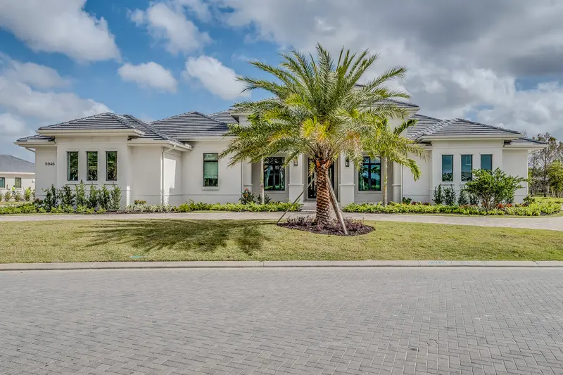 5 Tree Maintenance Tasks for New Port Richey Yards